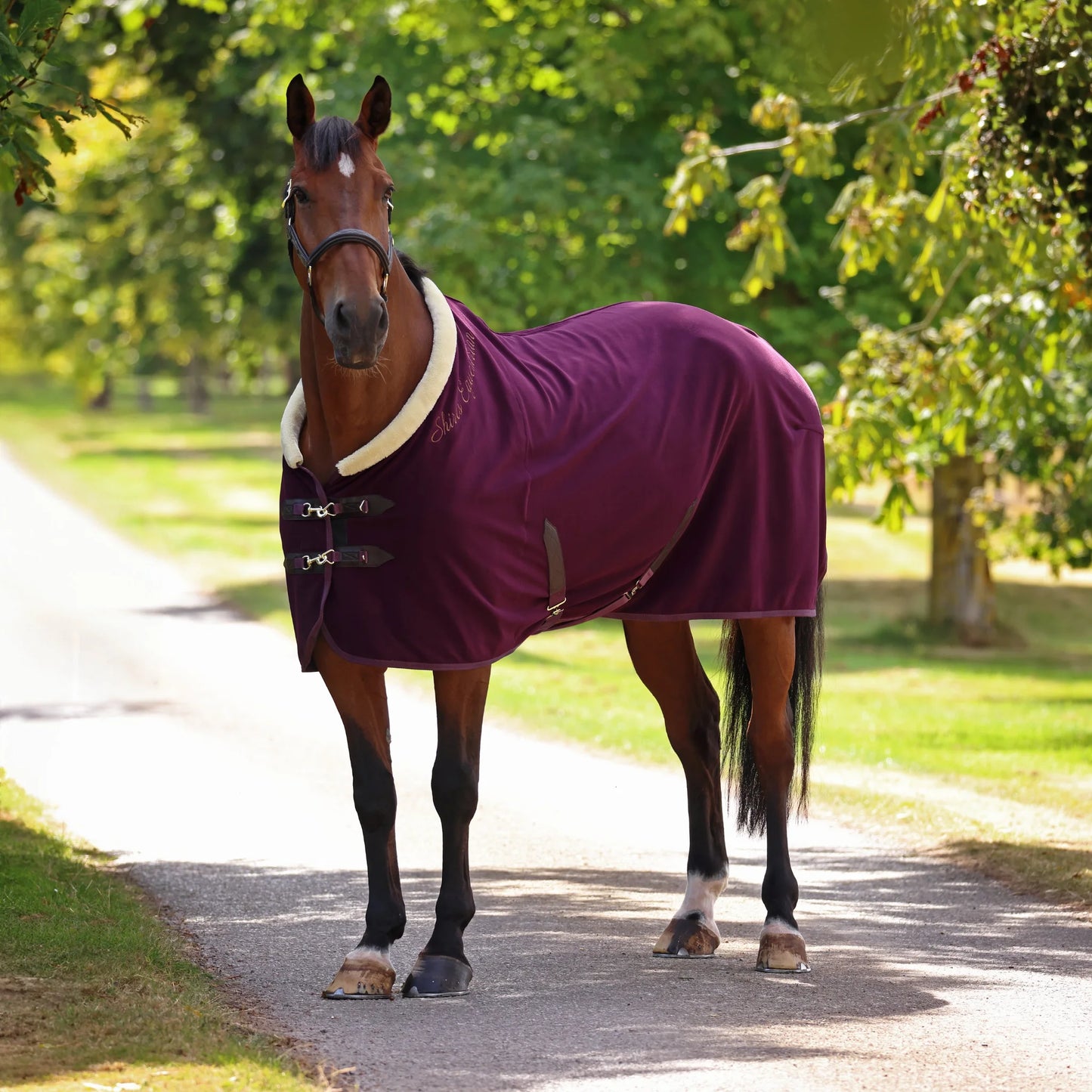 Shires Deluxe Fleece Rug - Premium Horse Cooler and Travel Sheet - Multiple Sizes Available