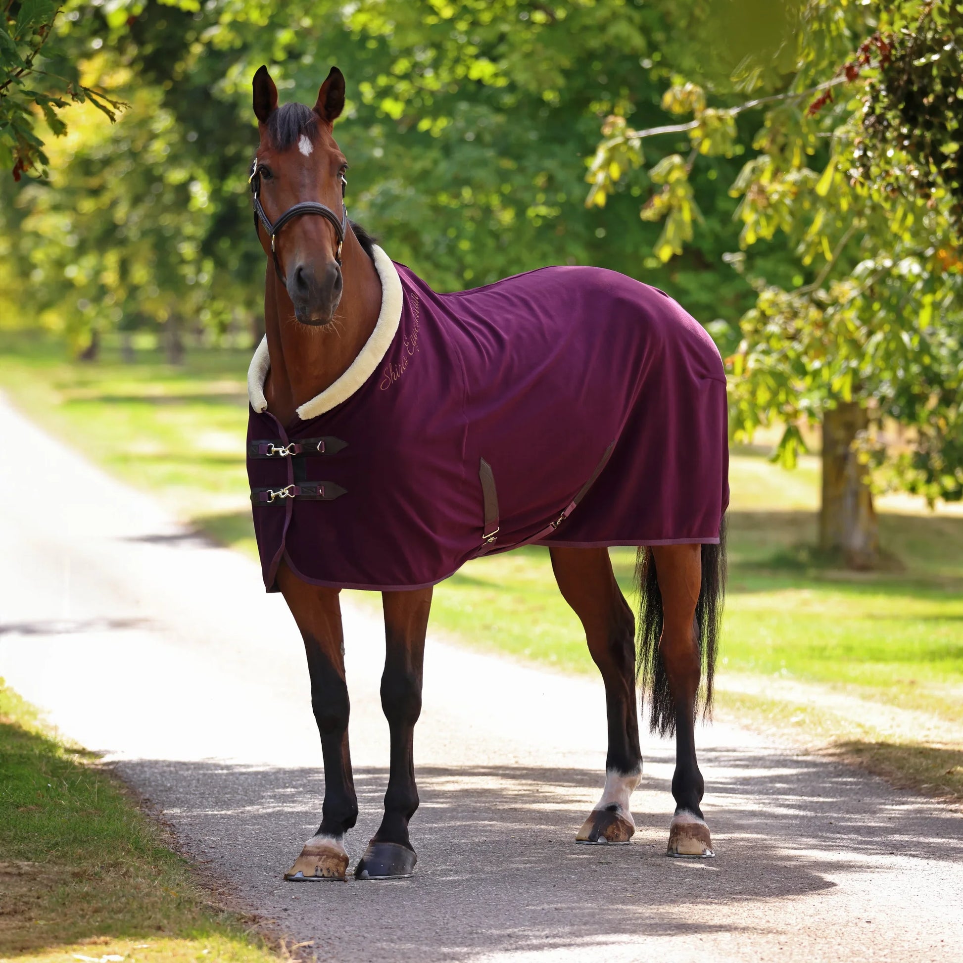 Shires Deluxe Fleece Rug - Premium Horse Cooler and Travel Sheet - Multiple Sizes Available