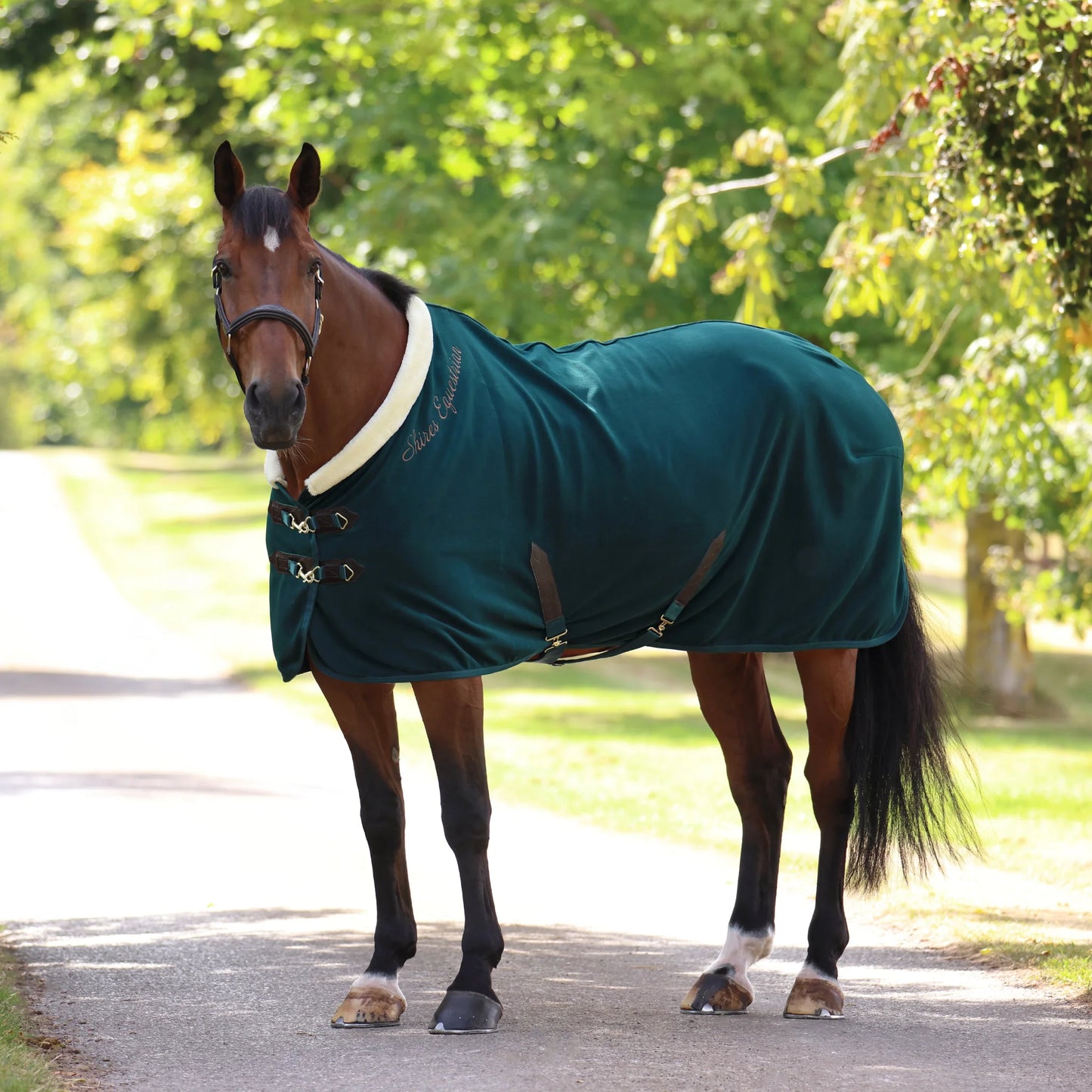 Shires Deluxe Fleece Rug - Premium Horse Cooler and Travel Sheet - Multiple Sizes Available