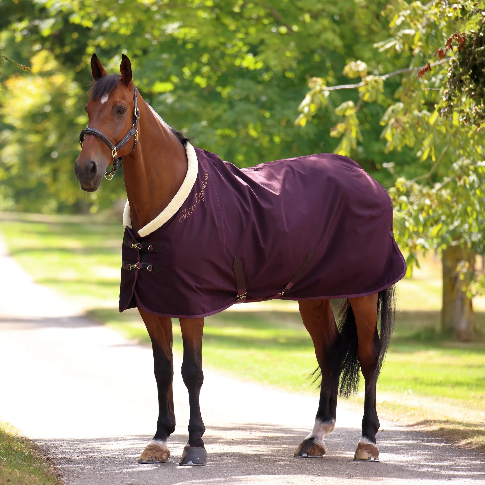Shires Deluxe Stable Sheet - Premium Breathable Horse Blanket for Stabling and Travel - Multiple Sizes