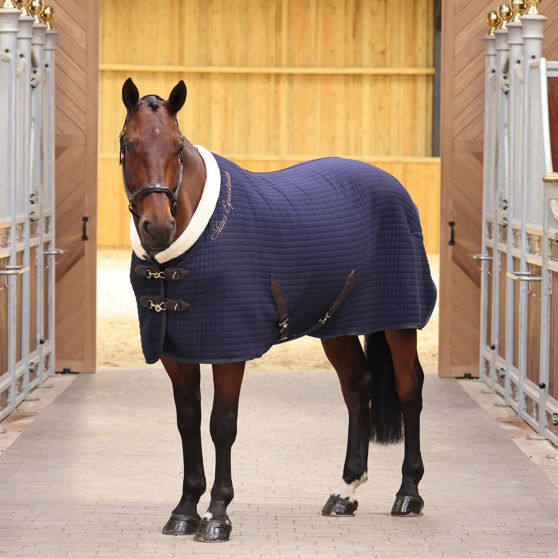 Shires Deluxe Tech Cooler Horse Blanket - Moisture Wicking Equestrian Cooling Sheet - Multiple Sizes