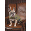 Shires Digby & Fox Premium Tweed Dog Coat - Red, Yellow & Blue Check Patterned Winter Jacket