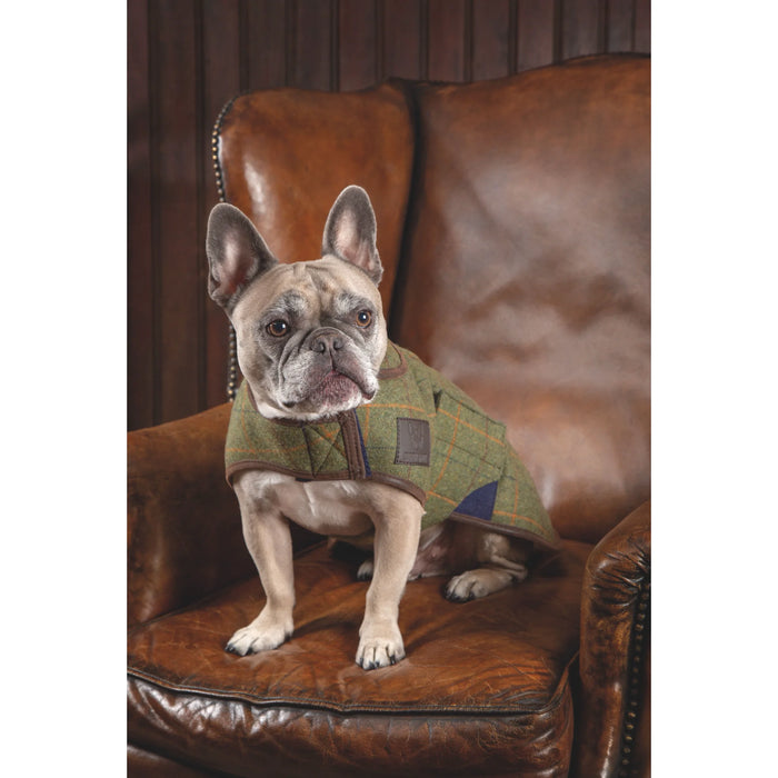 Shires Digby & Fox Premium Tweed Dog Coat - Red, Yellow & Blue Check Patterned Winter Jacket