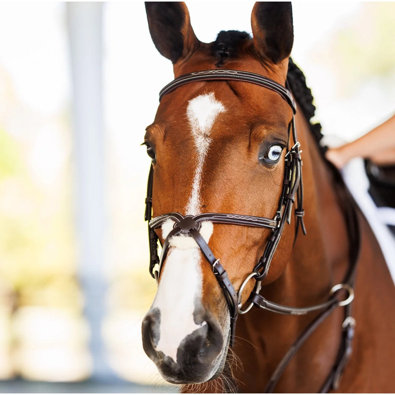 Shires Fancy Raised Padded Figure 8 Bridle with Fancy Raised Rubber Reins
