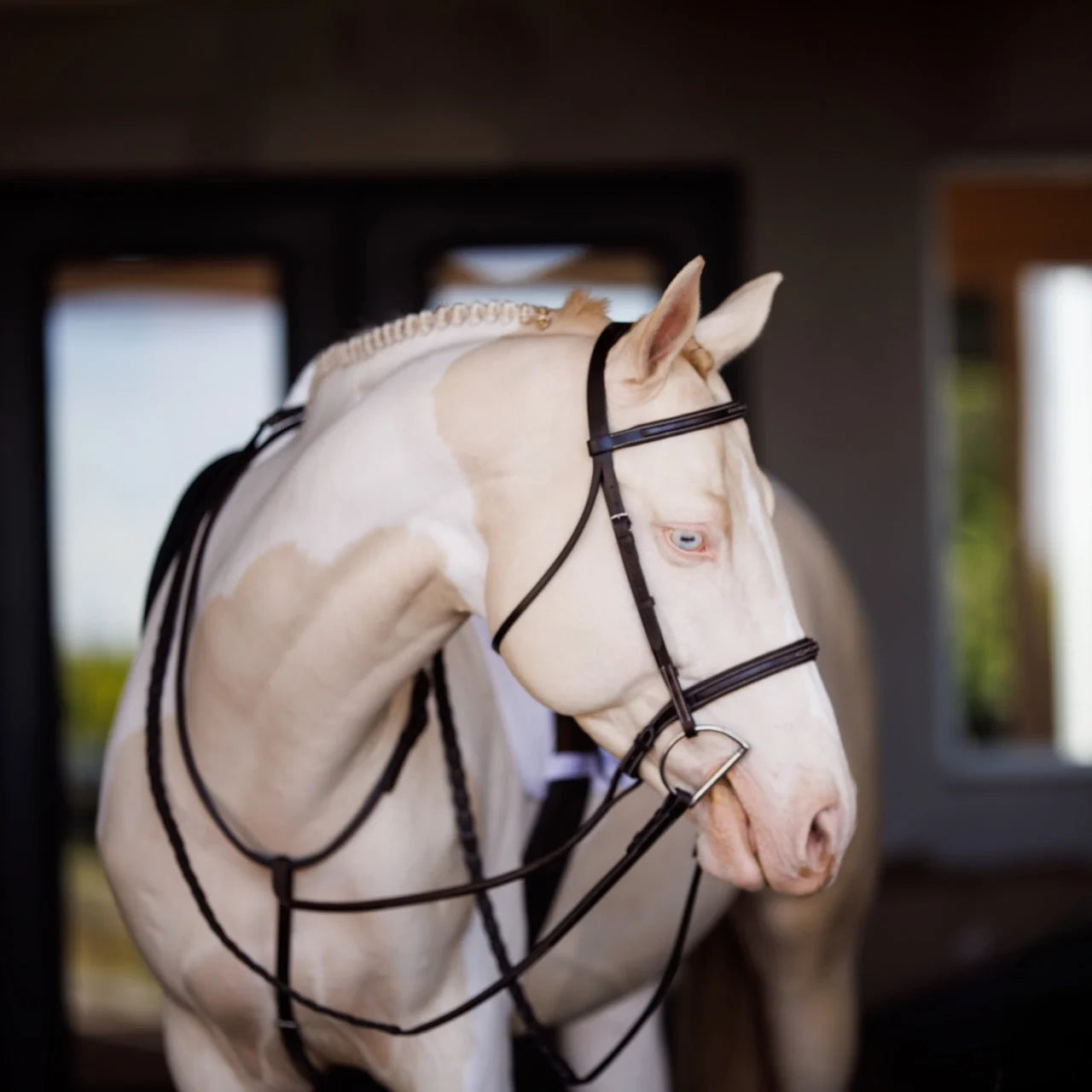 Shires Fancy Square Raised Laced Reins - Oak Bark Premium English Bridle Leather