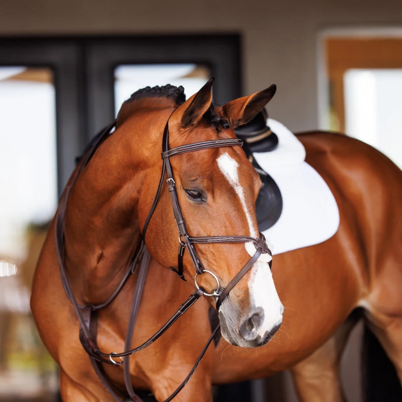 Shires Fancy Square Raised Leather Running Martingale - Oak Premium Quality Equestrian Horse Tack