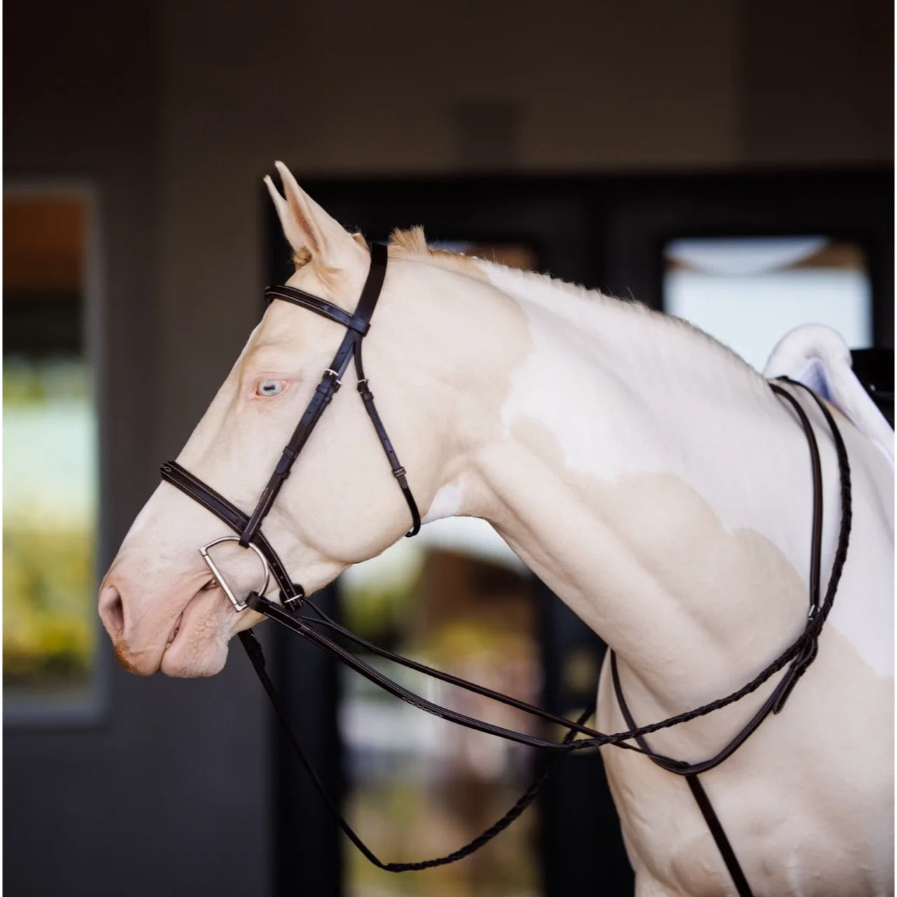 Shires Fancy Square Raised Standing Martingale - Oak Premium English Leather Horse Tack