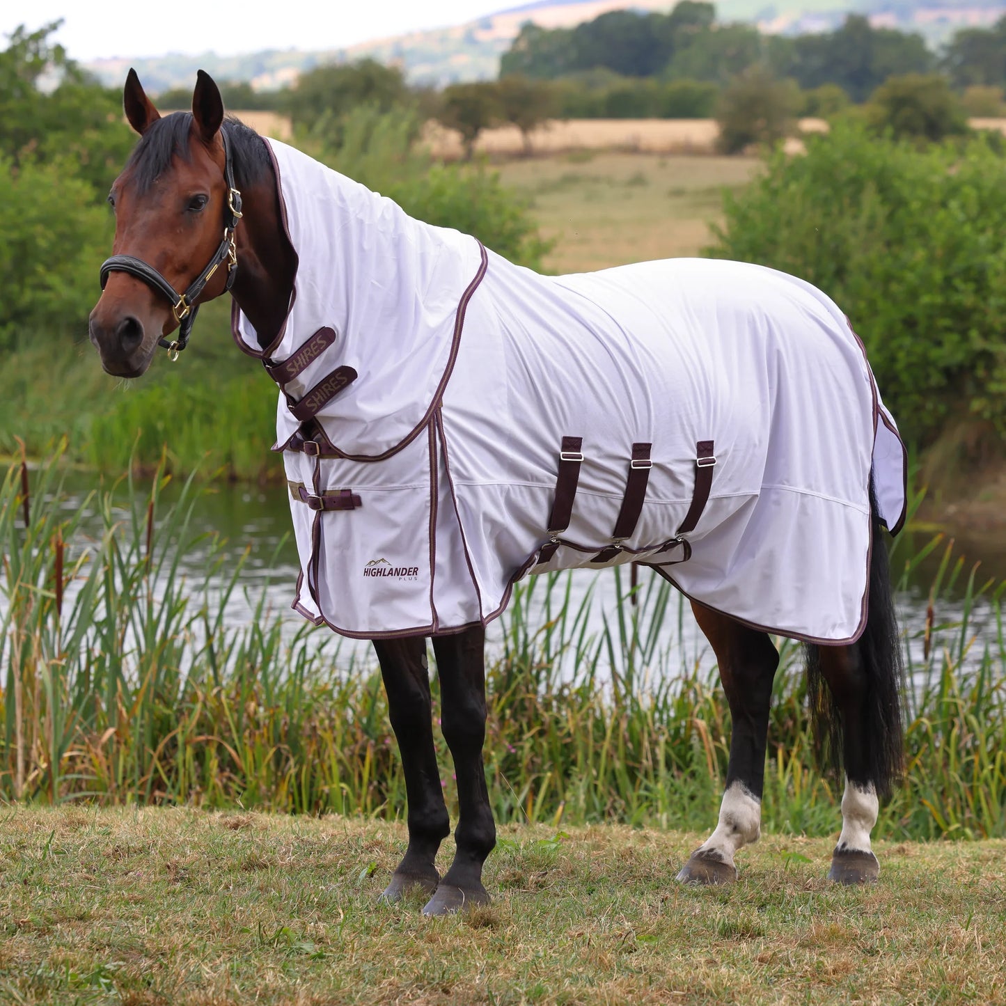 Shires Highlander Plus Horse Fly Sheet and Detachable Neck Set - White - Multiple Sizes