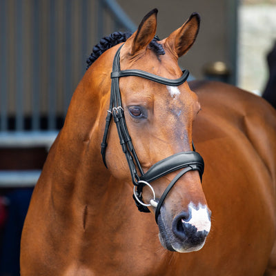 Shires Lusso Dressage Flash Bridle - Premium Italian Leather Padded Horse Bridle