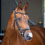 Shires Lusso Ergonomic Curved Flash Bridle - Premium Anatomical Padded Leather Horse Tack