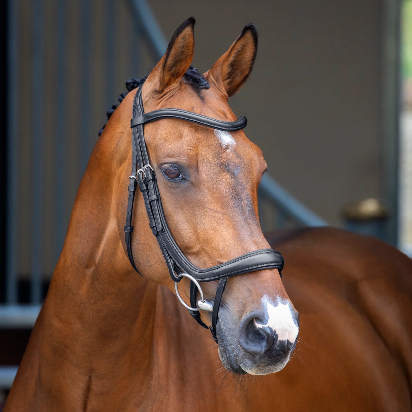 Shires Lusso Ergonomic Curved Flash Bridle - Premium Anatomical Padded Leather Horse Tack