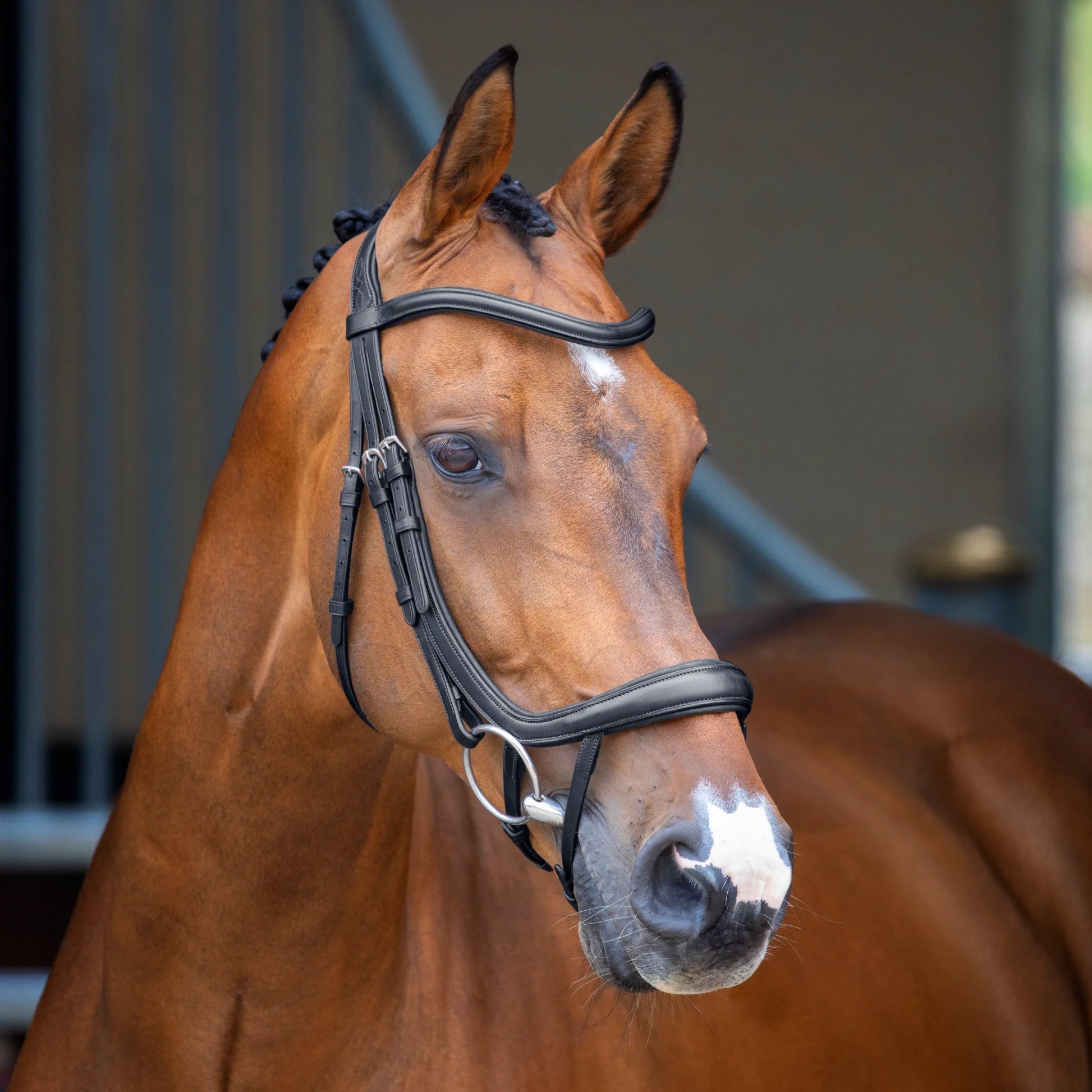 Shires Lusso Ergonomic Curved Flash Bridle - Premium Anatomical Padded Leather Horse Tack