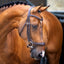 Shires Lusso Ergonomic Curved Flash Bridle - Premium Anatomical Padded Leather Horse Tack