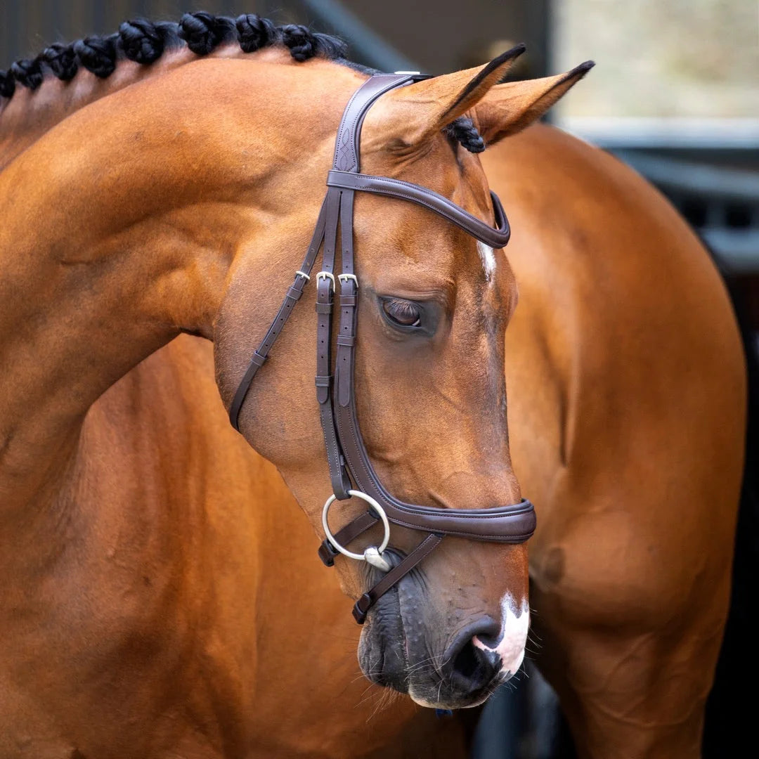 Shires Lusso Ergonomic Curved Flash Bridle - Premium Anatomical Padded Leather Horse Tack