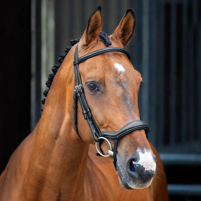 Shires Lusso Ergonomic Flash Bridle - Premium Leather Padded Horse Bridle - Multiple Sizes