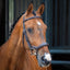 Shires Lusso Ergonomic Flash Bridle - Premium Leather Padded Horse Bridle - Multiple Sizes