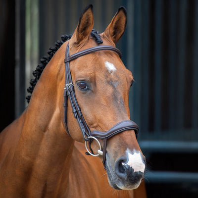 Shires Lusso Ergonomic Flash Bridle - Premium Leather Padded Horse Bridle - Multiple Sizes