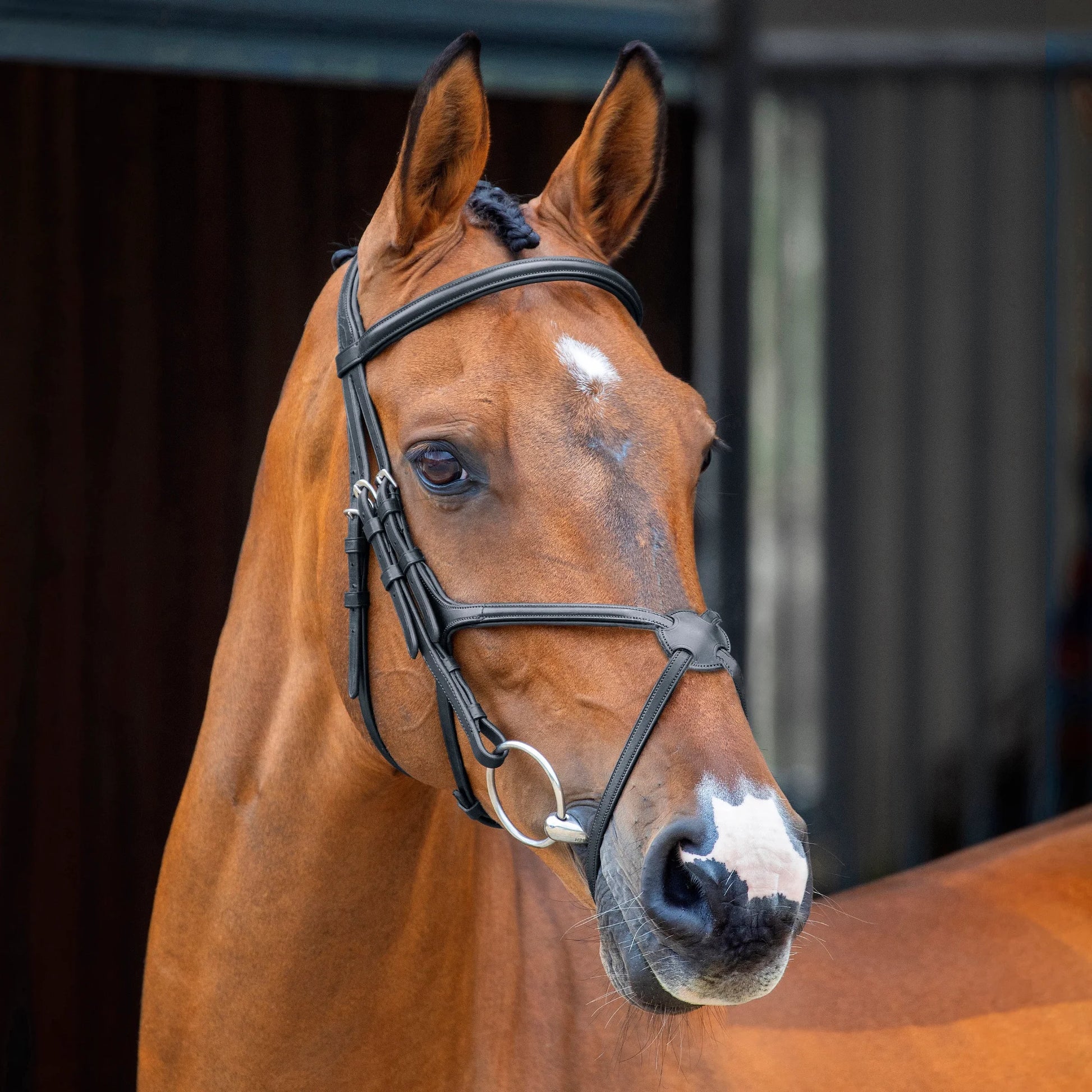 Shires Lusso Grackle Bridle - Premium Leather Equestrian Horse Bridle - Multiple Sizes