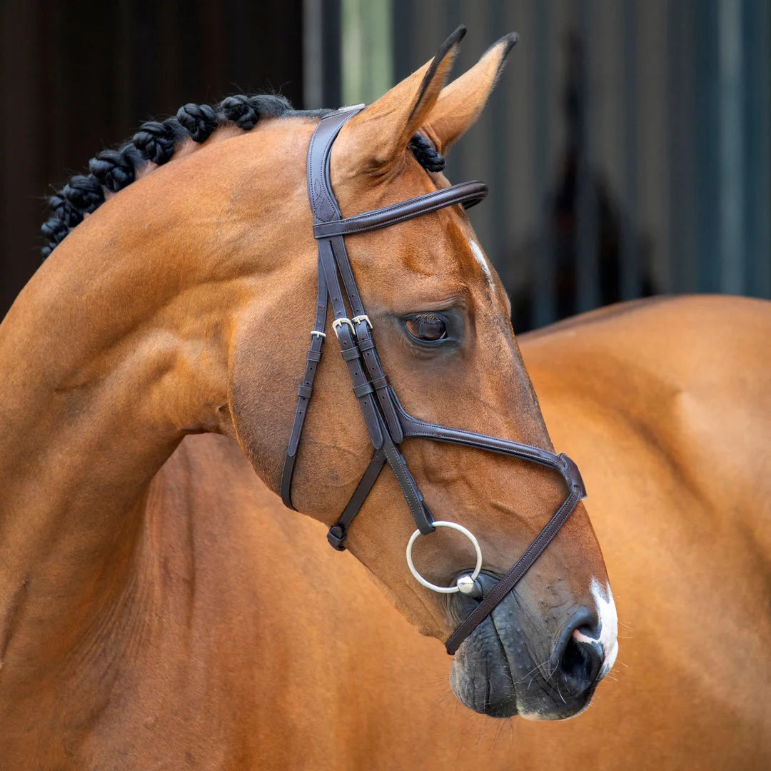Shires Lusso Grackle Bridle - Premium Leather Equestrian Horse Bridle - Multiple Sizes