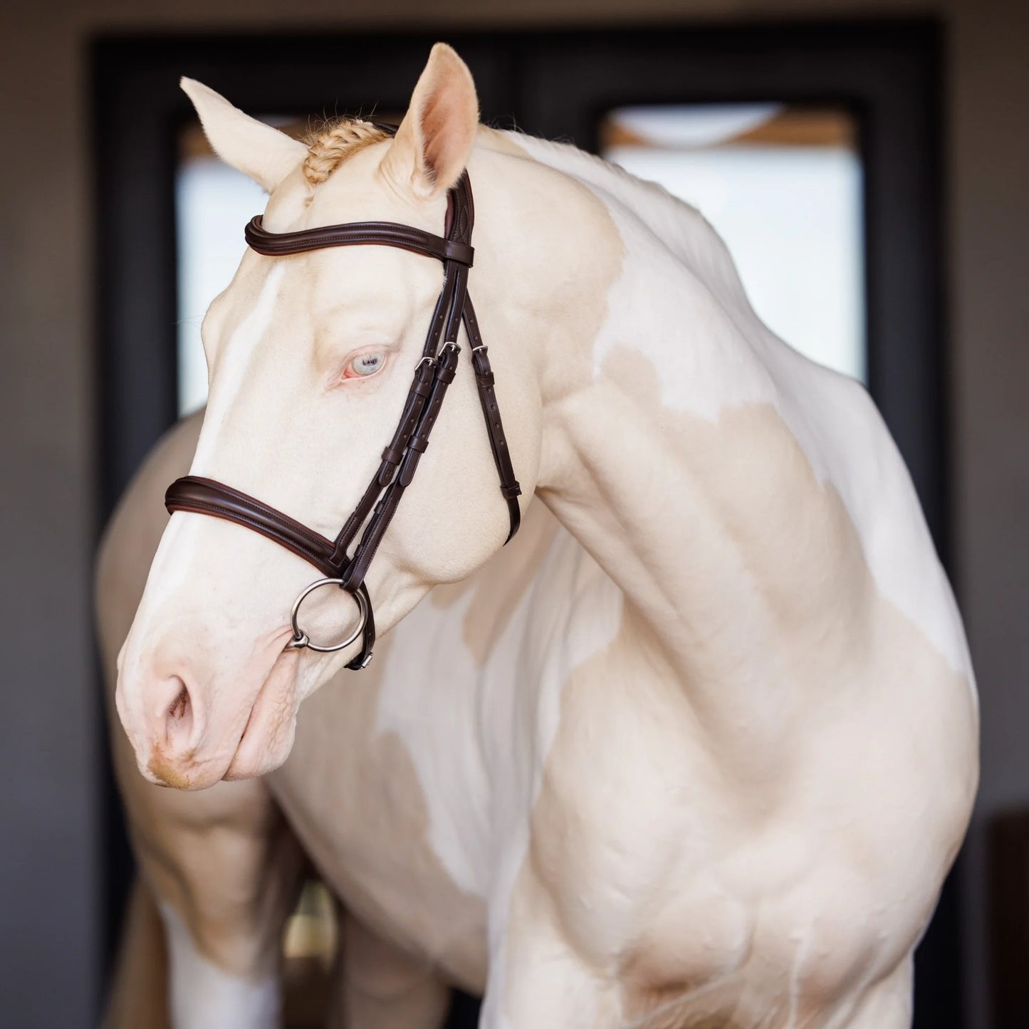 Shires Lusso Raised Padded Leather Bridle - Premium Quality English Equestrian Horse Tack