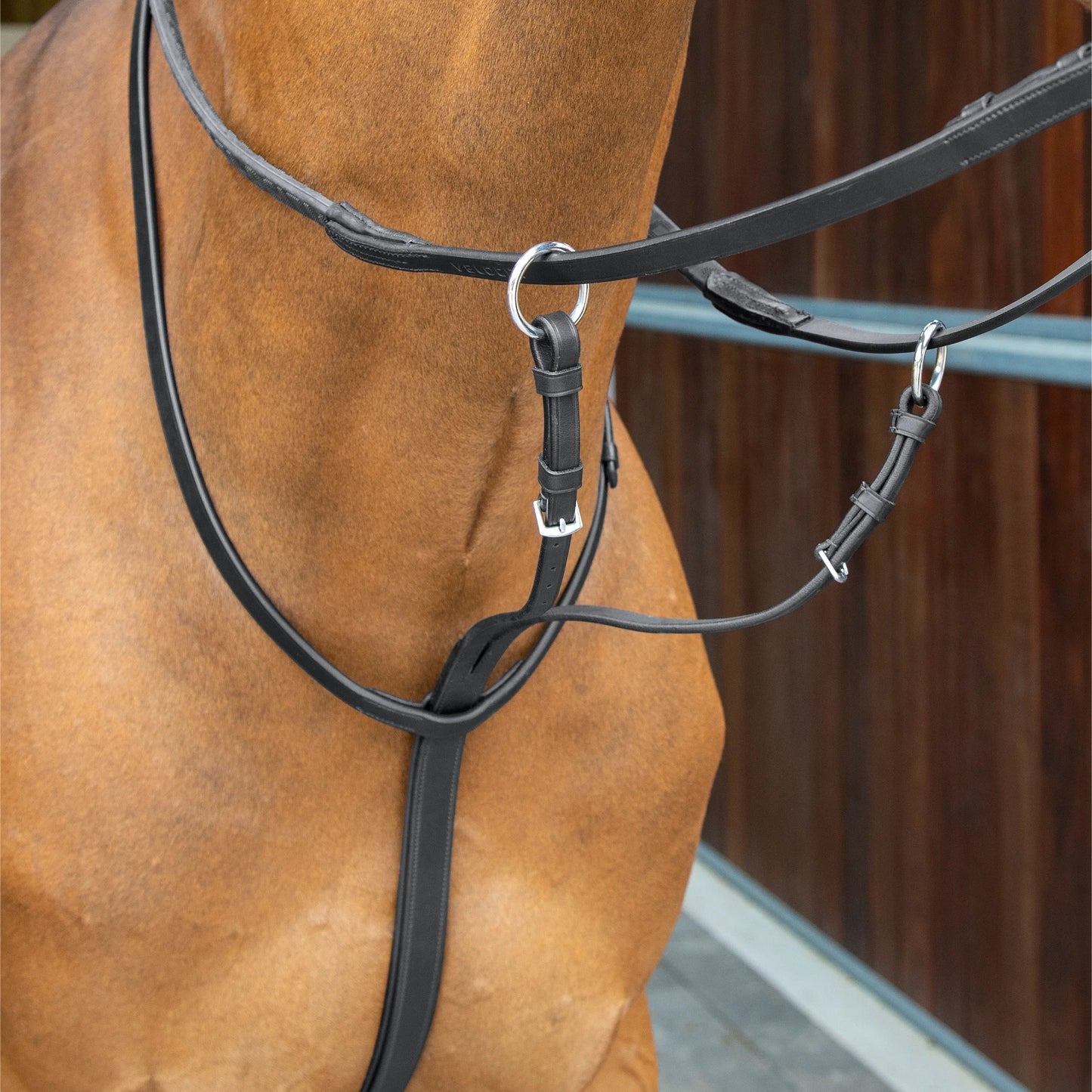 Shires Lusso Running Martingale - Premium Leather Equestrian Training Equipment