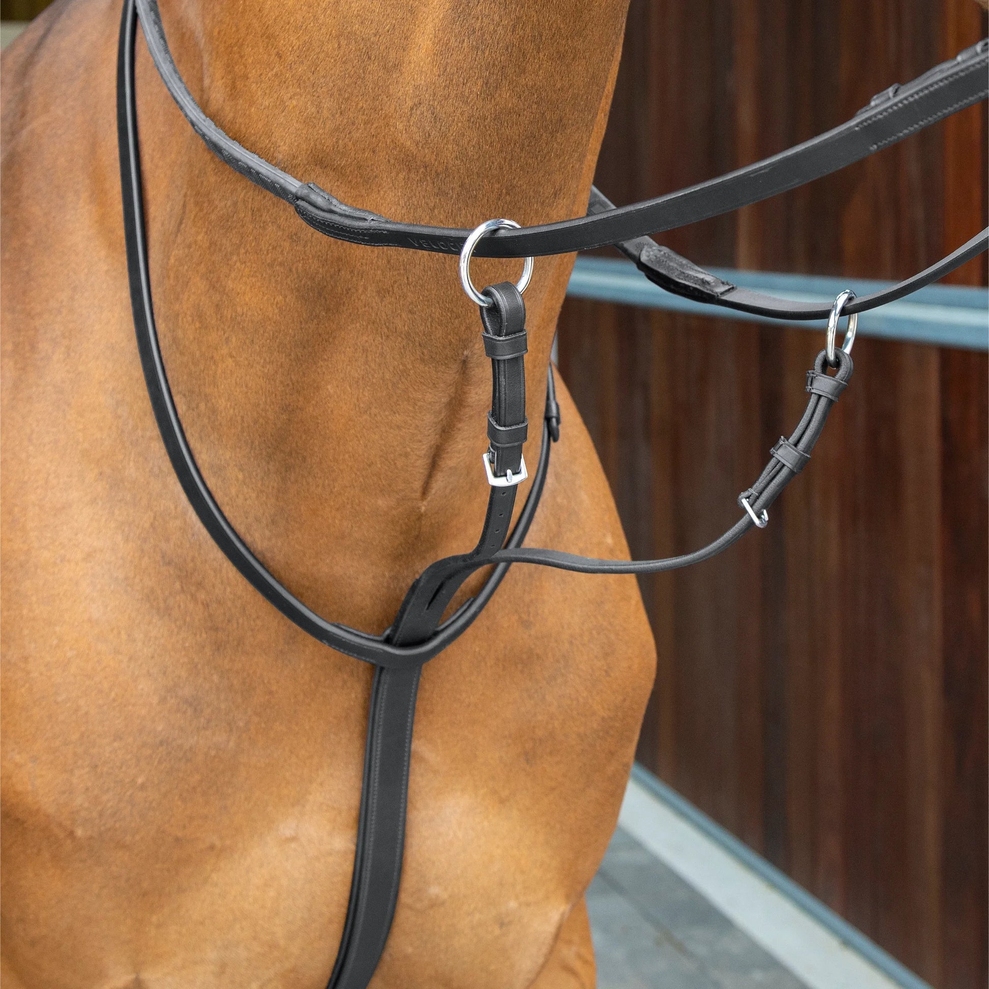 Shires Lusso Running Martingale - Premium Leather Equestrian Training Equipment