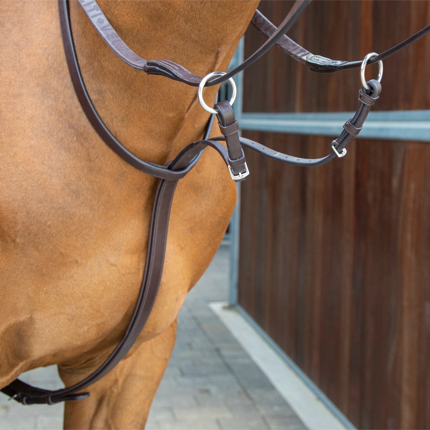 Shires Lusso Running Martingale - Premium Leather Equestrian Training Equipment