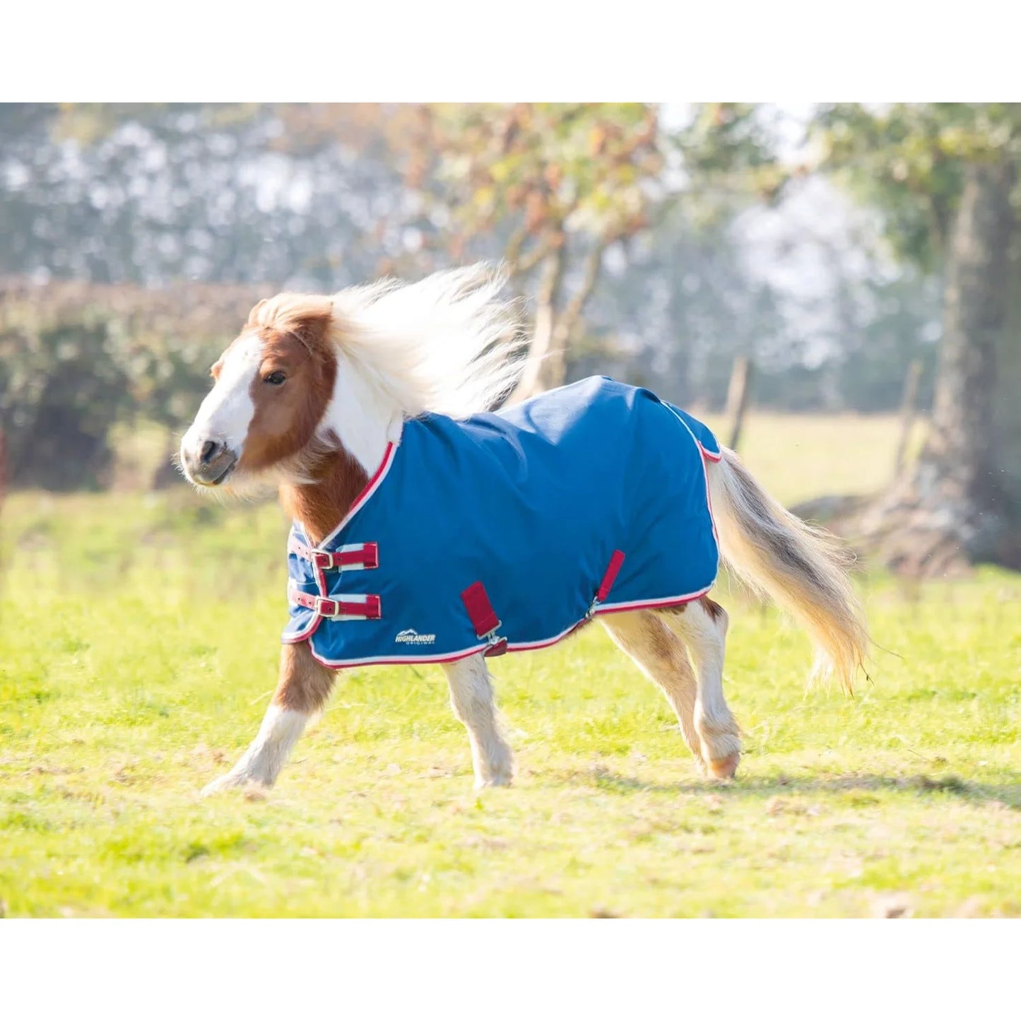 Shires Mini Highlander Turnout Rug - Durable Waterproof Miniature Horse Blanket - Multiple Sizes