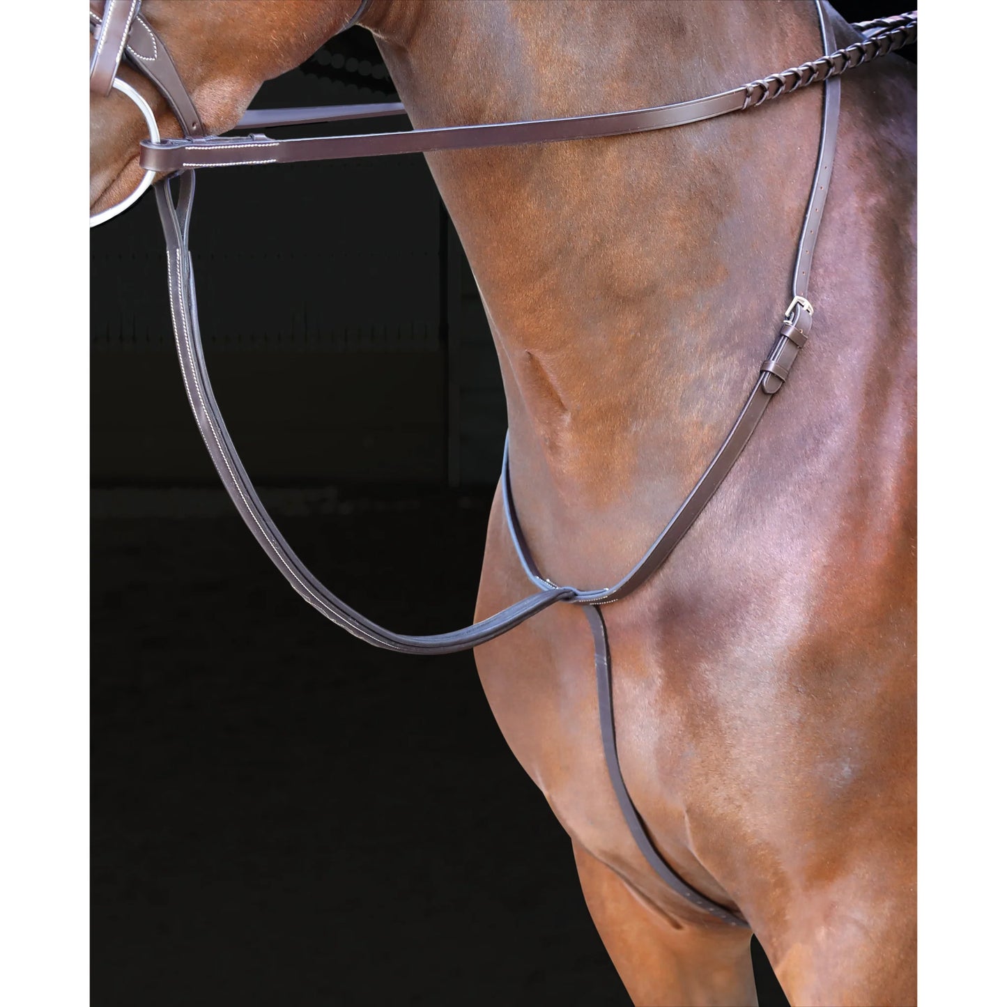 Shires Rossano Standing Martingale - Premium Leather Equestrian Horse Training Tack