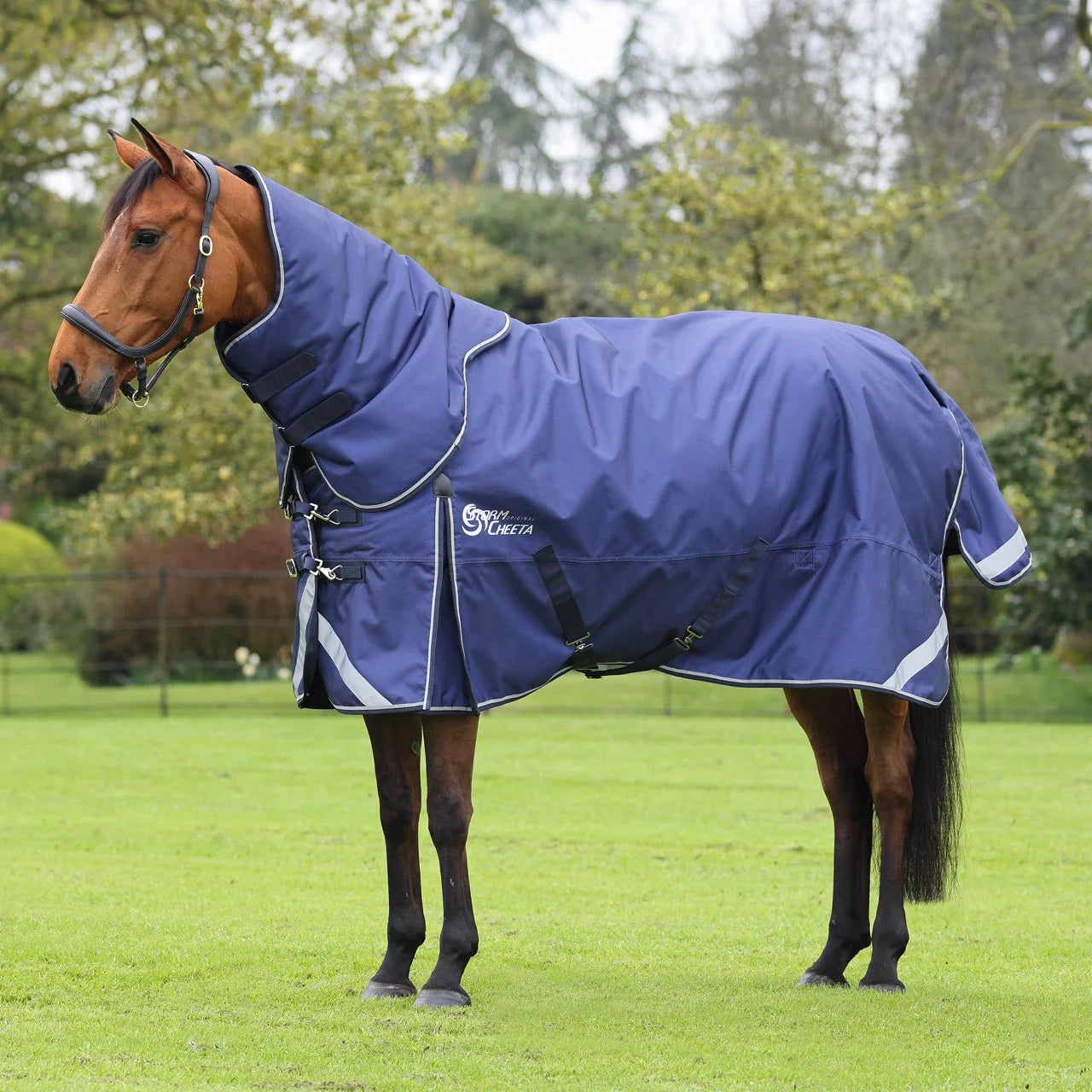 Shires Stormcheeta 200 Mediumweight Turnout Rug and Neck Set - 2000D 200g - Multiple Sizes