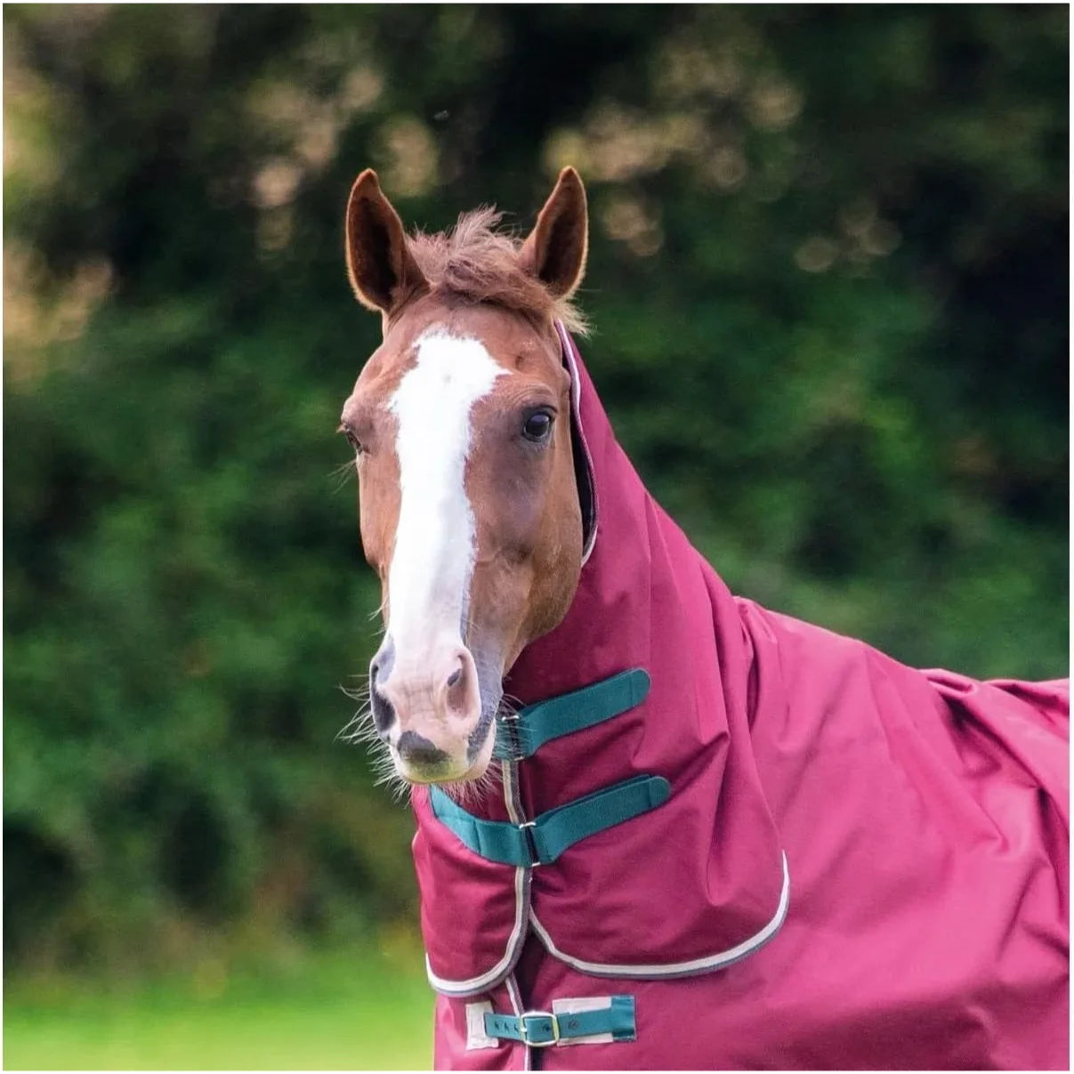 Shires Tempest Original 200 Neck Cover - Maroon, 200g Medium Weight Fill