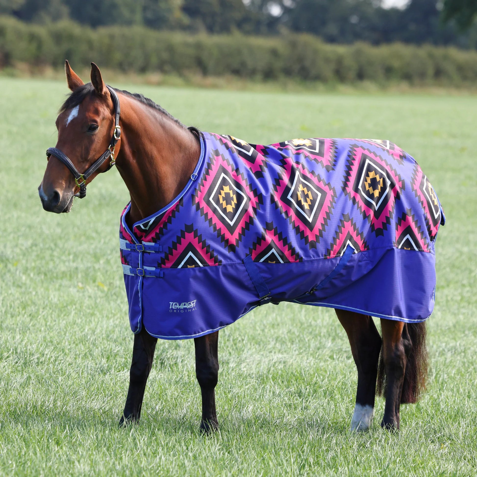Shires Tempest Original 200 Turnout Blanket - 200g Medium Weight Horse Rug - Multiple Sizes