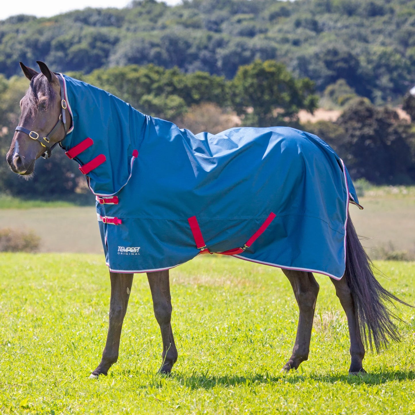 Shires Tempest Original Lite Turnout Combo Rug - 0g Fill Lightweight Horse Blanket - Multiple Sizes