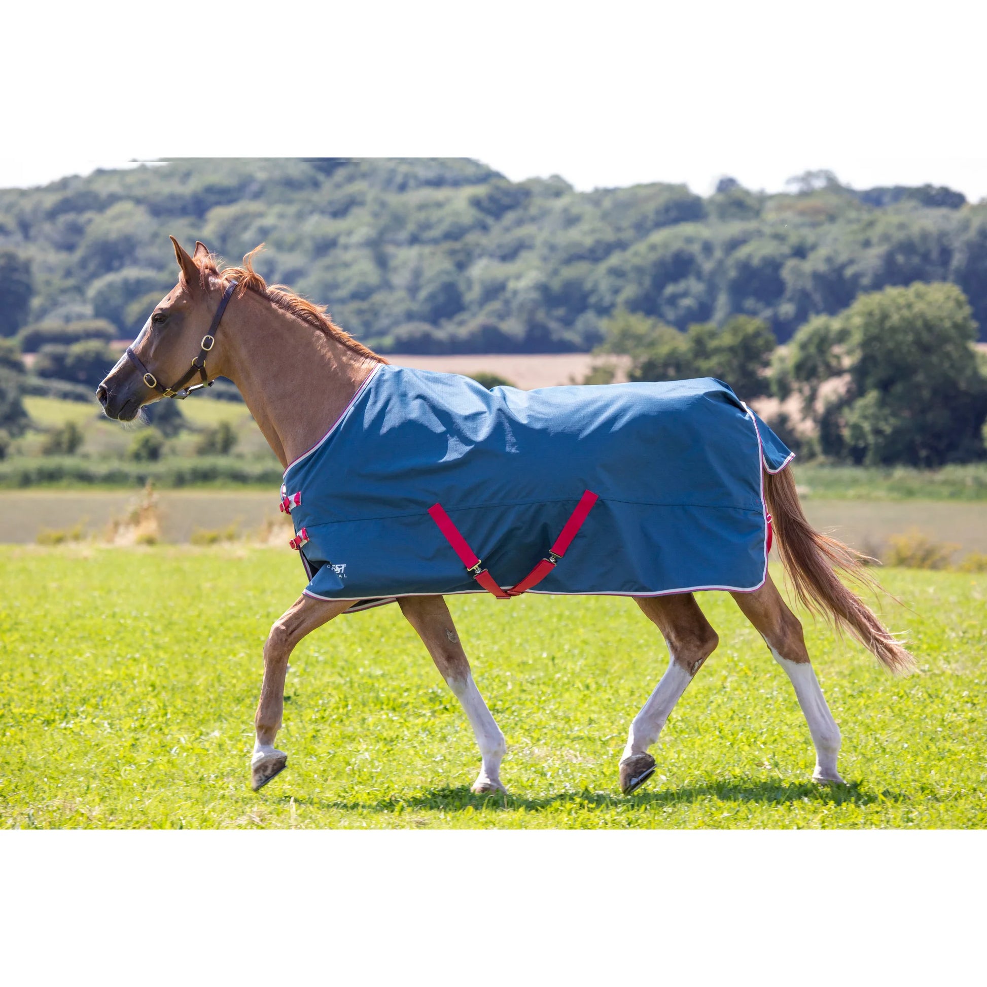 Shires Tempest Original Lite Turnout Horse Blanket - 0g Fill - Multiple Sizes