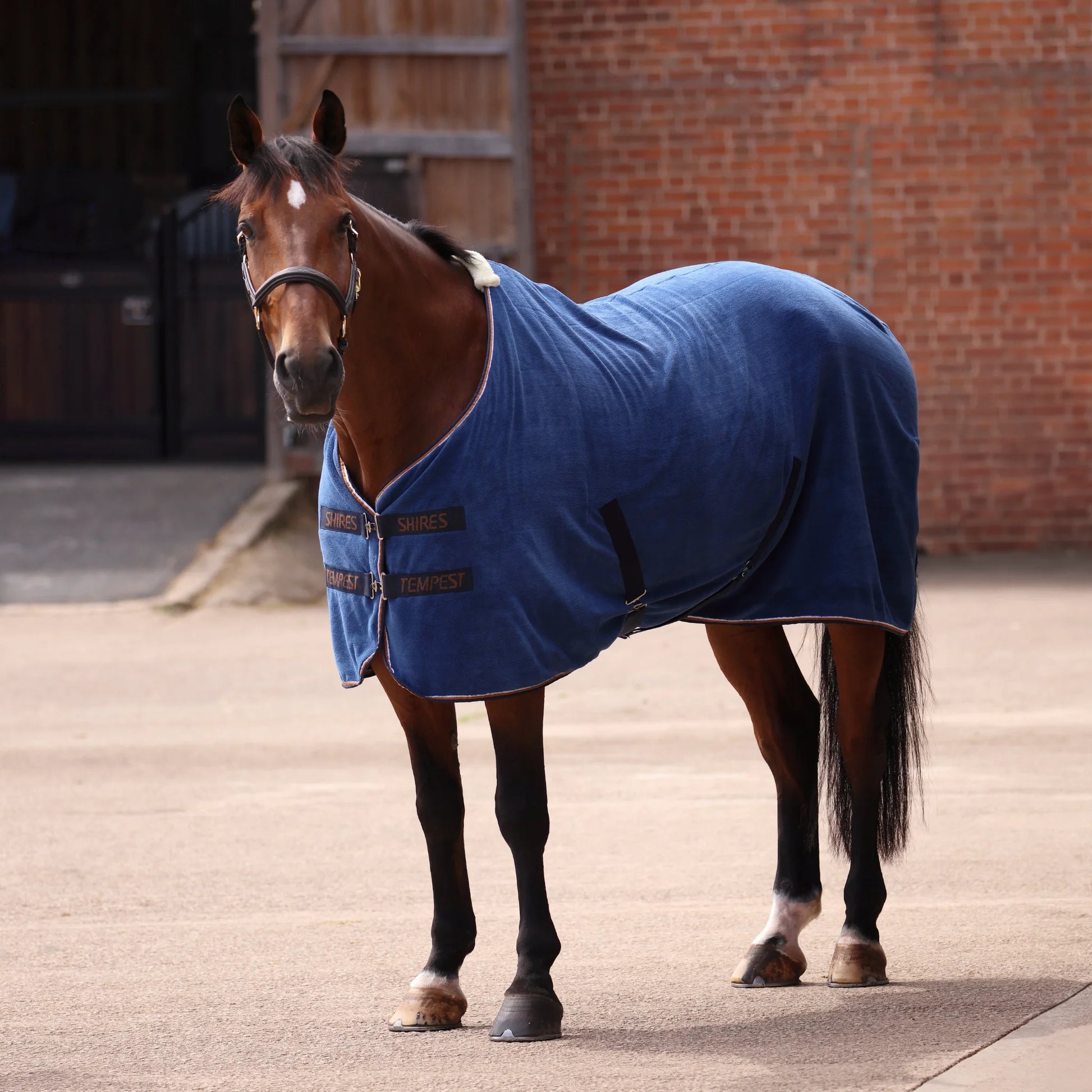 Shires Tempest Original Ultra Drying Rug - High Performance Moisture Wicking Horse Cooler - Multiple Sizes