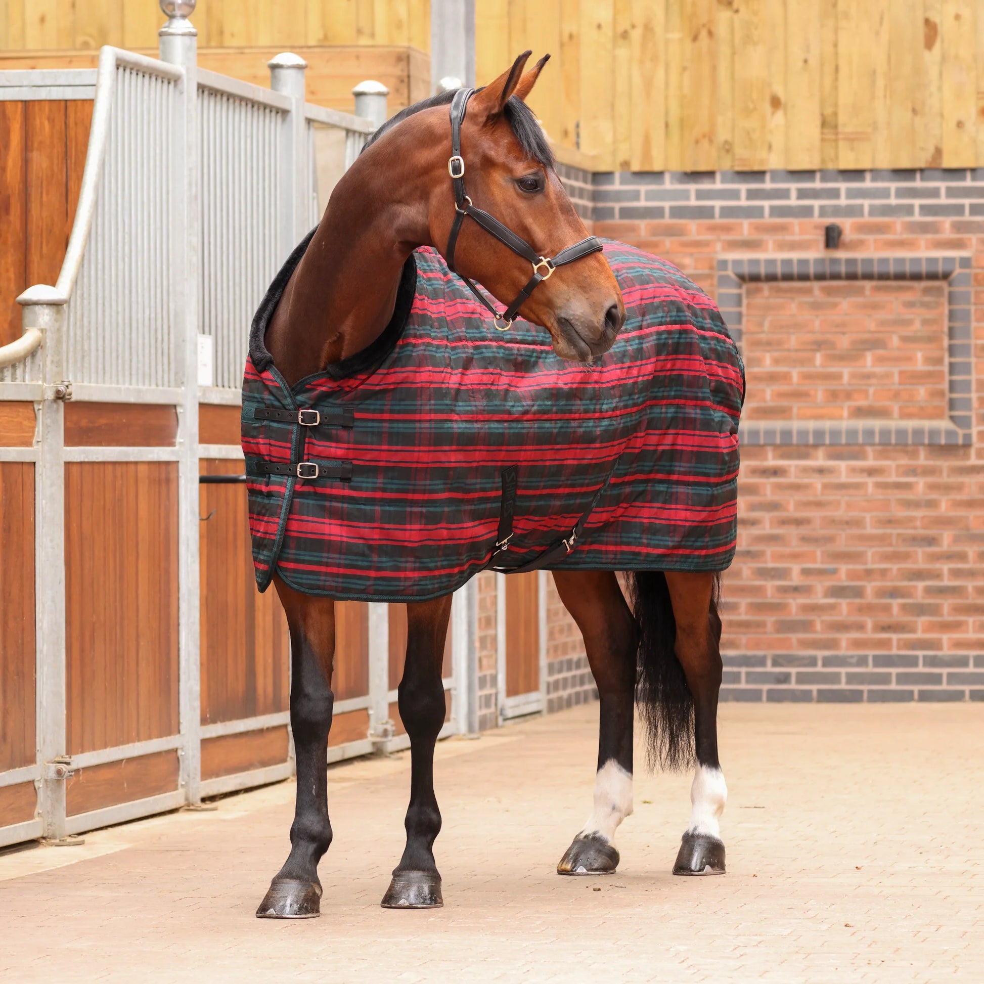 Shires Tempest Plus 200 Stable Rug - 200g Medium Weight Horse Blanket - Multiple Sizes Available