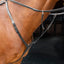 Shires Velociti Breastplate - Premium Leather Horse Breastplate for Equestrian Training and Competition