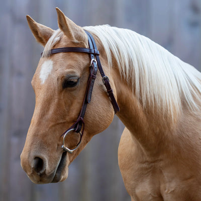 Shires Velociti Browband Headstall - Premium Leather Western Bridle - Multiple Sizes