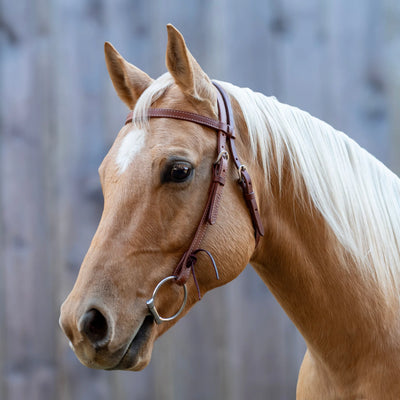 Shires Velociti Browband Headstall - Premium Leather Western Bridle - Multiple Sizes