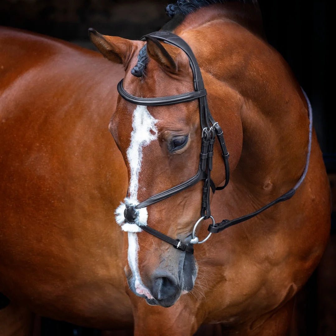 Shires Velociti Figure 8 Bridle - Premium Leather Equestrian Horse Bridle - Multiple Sizes