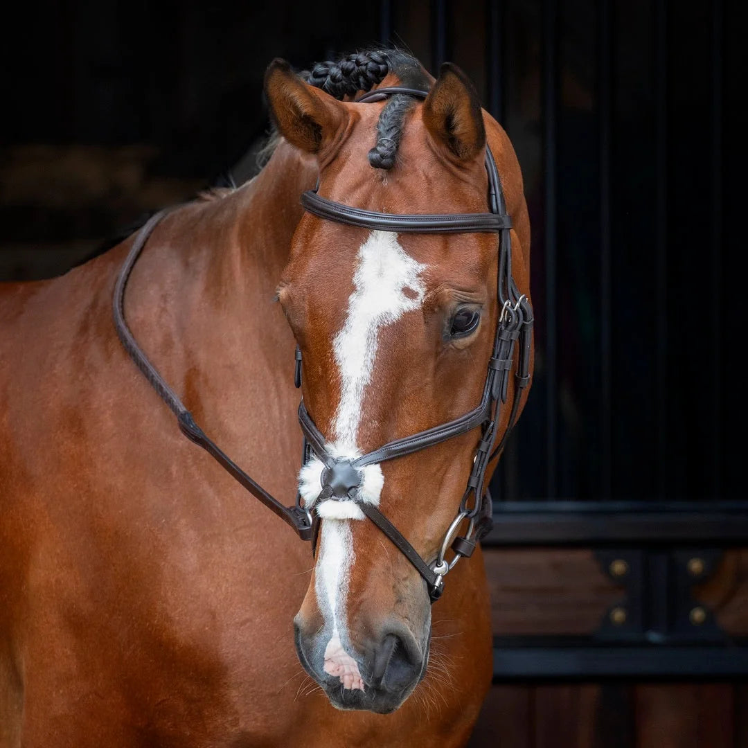 Shires Velociti Figure 8 Bridle - Premium Leather Equestrian Horse Bridle - Multiple Sizes