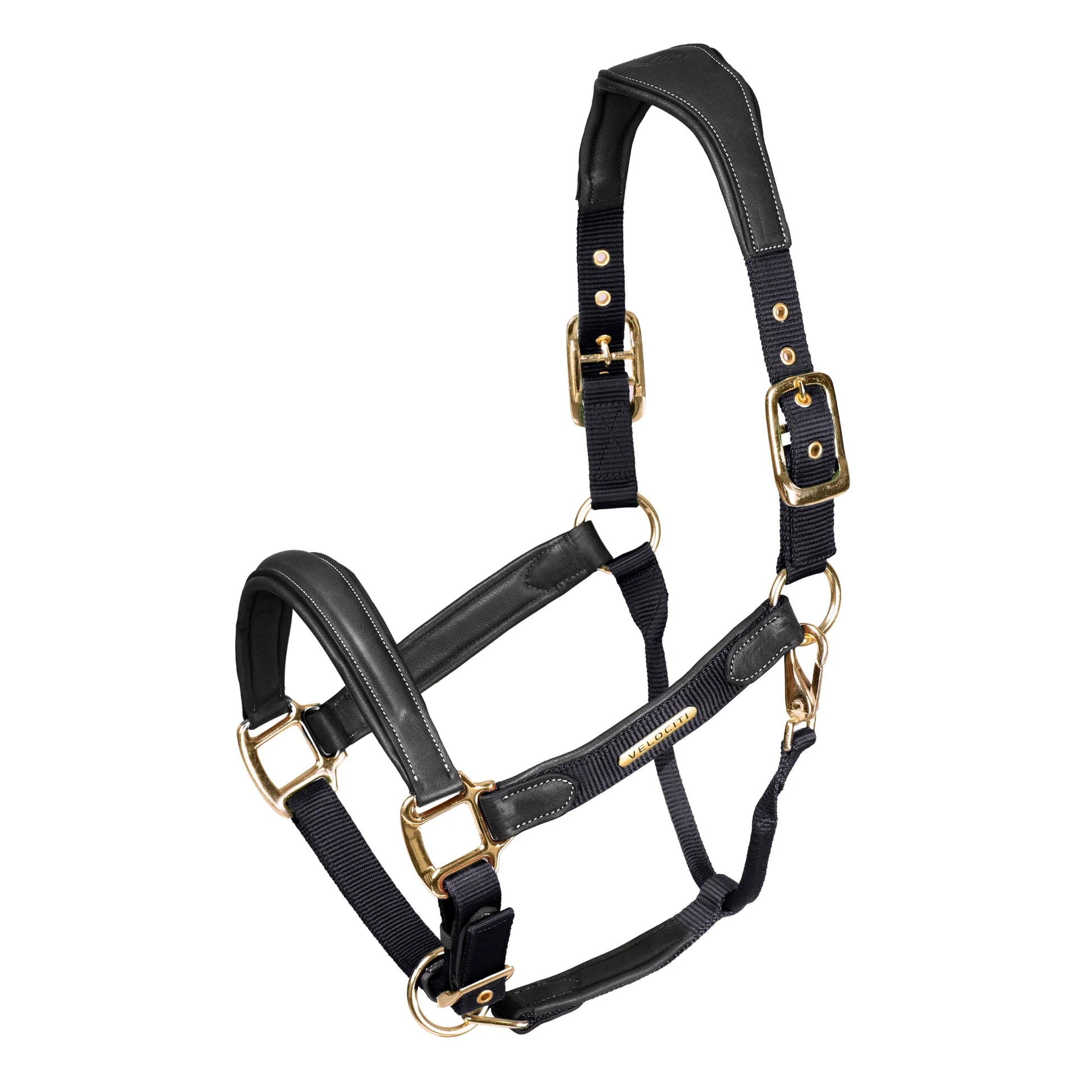 Shires Velociti Lusso Padded Leather Headcollar with Breakaway - Premium Padded Leather Horse Halter
