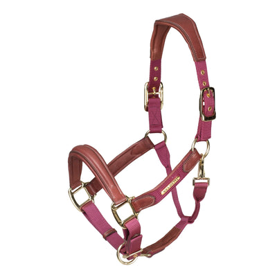 Shires Velociti Lusso Padded Leather Headcollar with Breakaway - Premium Padded Leather Horse Halter
