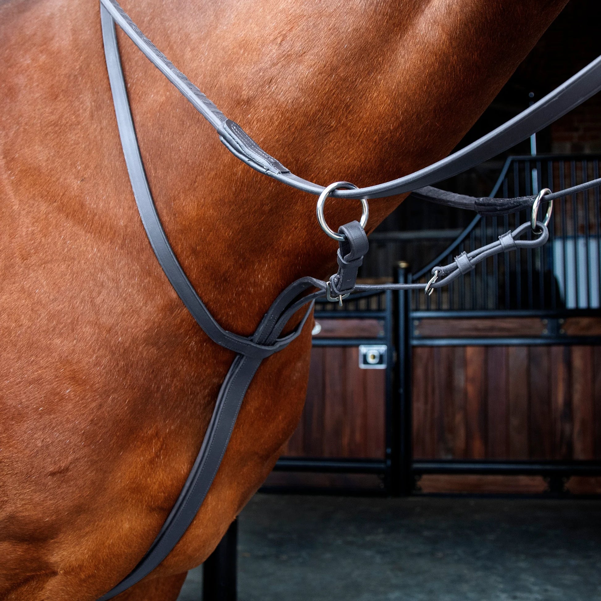 Shires Velociti Running Martingale - Premium Ergonomic Leather Equestrian Training Aid