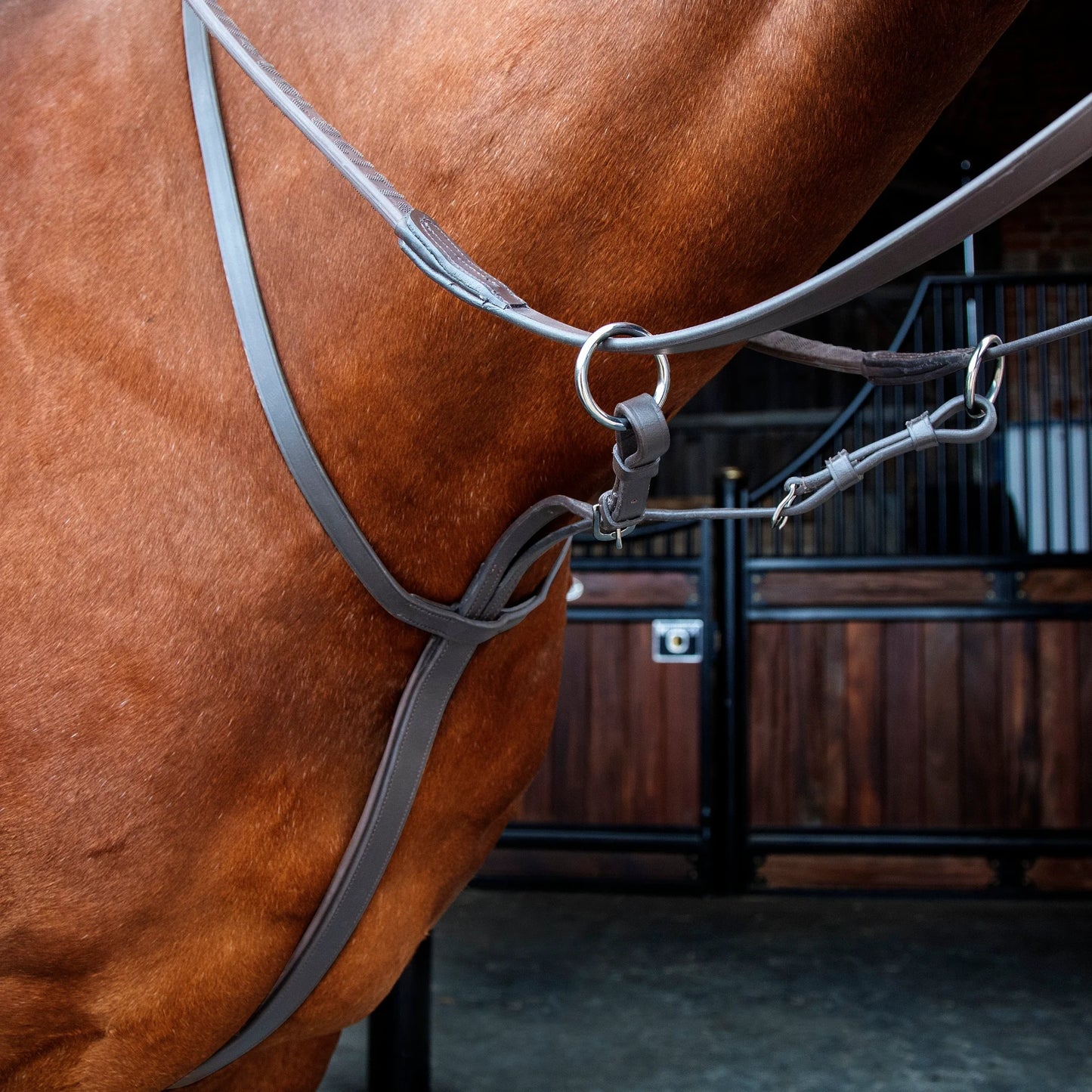 Shires Velociti Running Martingale - Premium Ergonomic Leather Equestrian Training Aid