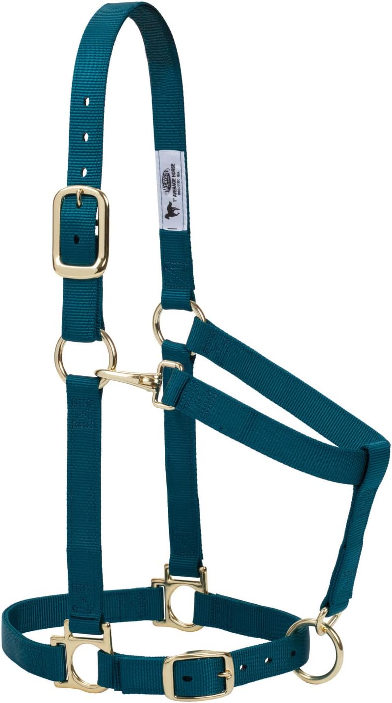 Weaver Leather Basic Adjustable Average Padded Nylon Halter - Adjustable Crown & Chin