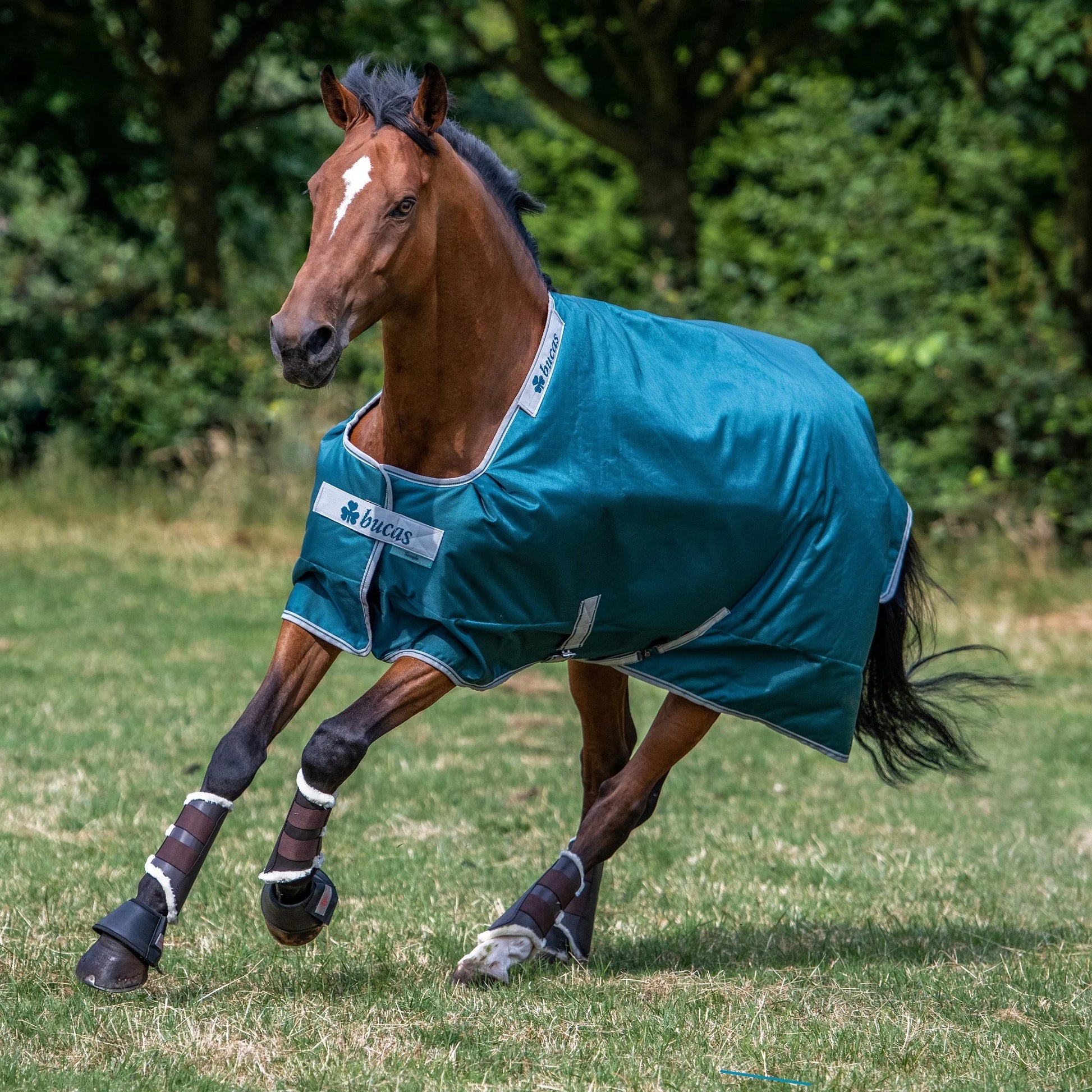 Toklat Bucas Atlantic Spruce Turnout Blanket - 50g Lightweight Fill Horse Blanket