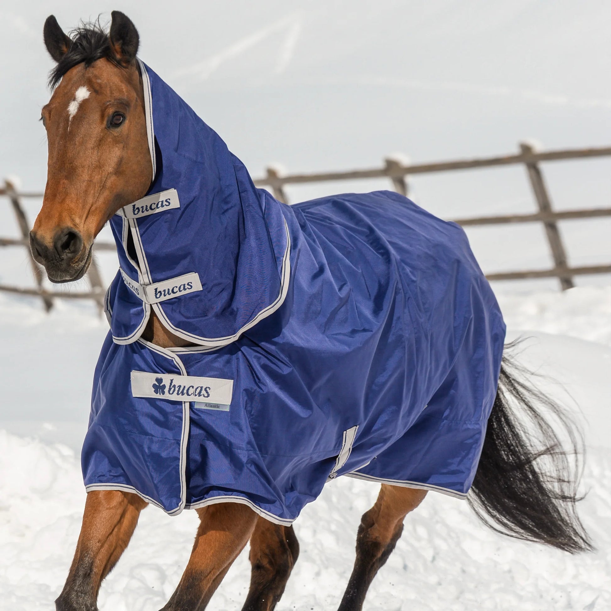 Toklat Bucas Atlantic Turnout Blanket - 400G Heavyweight Winter Horse Blanket