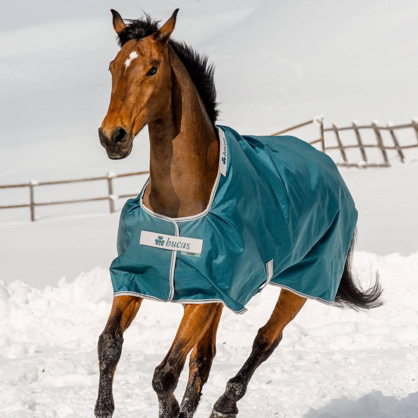 Toklat Bucas Atlantic Turnout Blanket - 400G Heavyweight Winter Horse Blanket