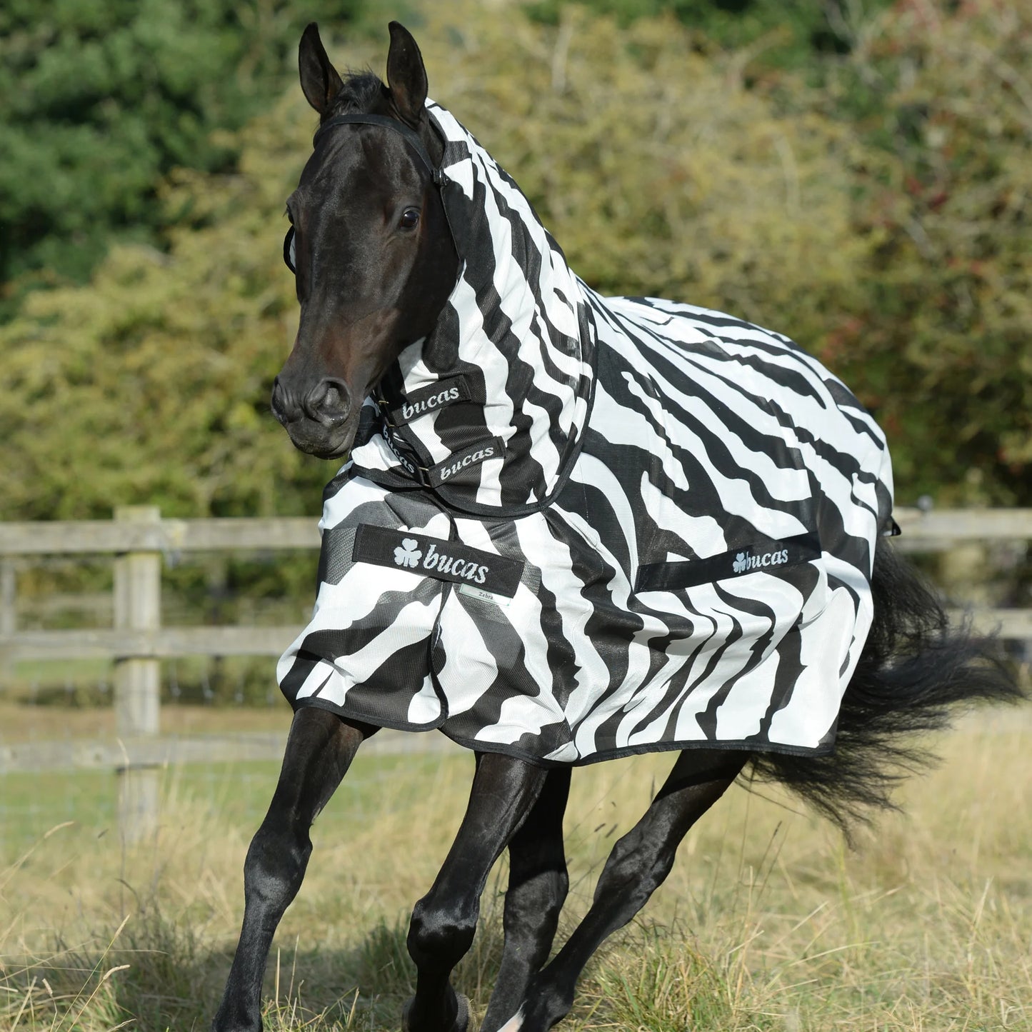 Toklat Bucas Buzz Off Fly Sheet - UV Protection Horse Mesh - Multiple Sizes
